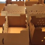 Chick shipping boxes for sale