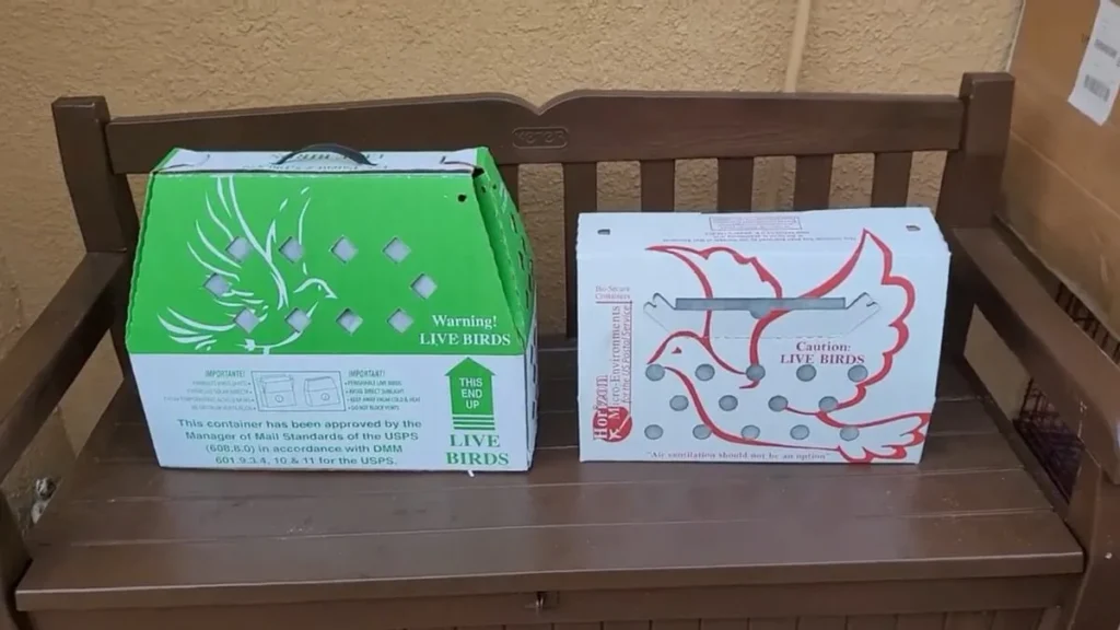 Live bird shipping boxes