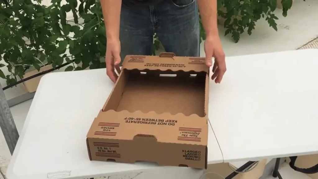 Tomato Boxes